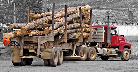 Annual Timber Permit