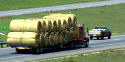 Annual Hay Permits