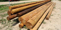 Annual Utility Pole Permits